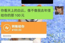 高安遇到恶意拖欠？专业追讨公司帮您解决烦恼